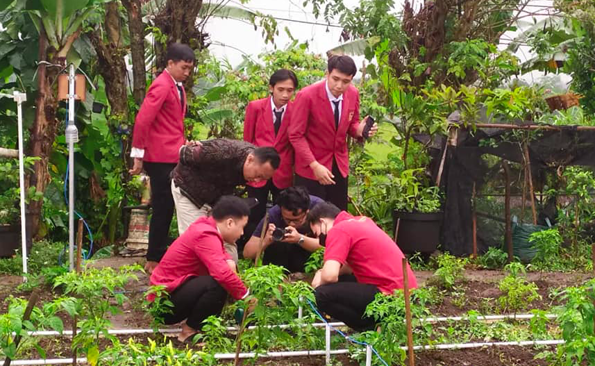 Evaluasi Penerapan Sistem Smart Farming Berbasis IoT di Desa Kukuh Kerambitan